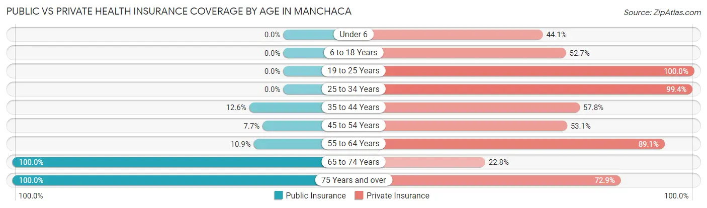 Public vs Private Health Insurance Coverage by Age in Manchaca