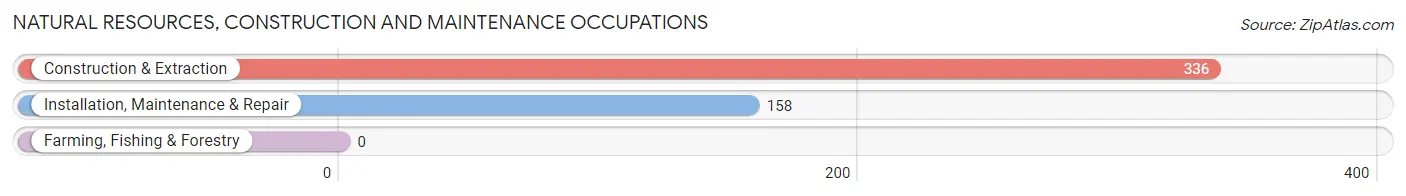 Natural Resources, Construction and Maintenance Occupations in Manvel