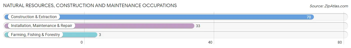 Natural Resources, Construction and Maintenance Occupations in Marion