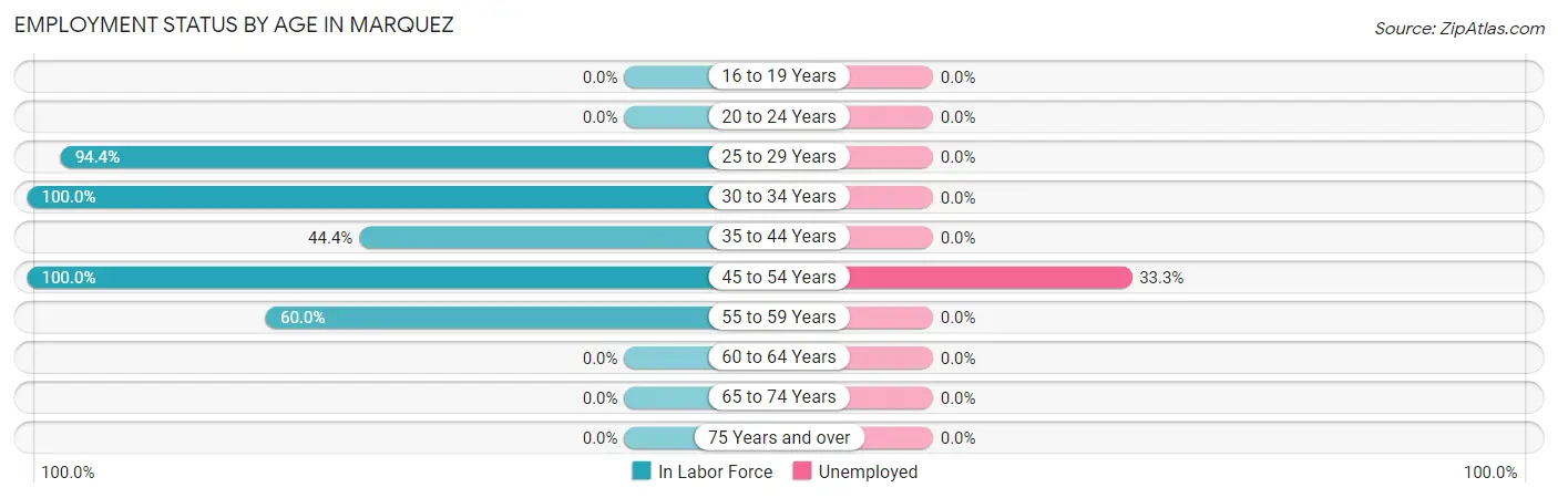 Employment Status by Age in Marquez