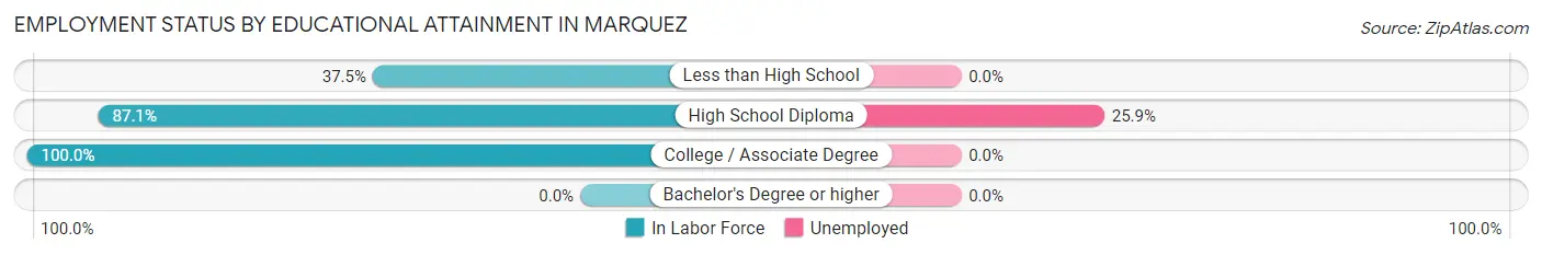 Employment Status by Educational Attainment in Marquez