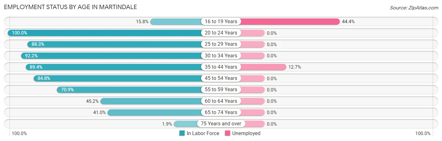 Employment Status by Age in Martindale