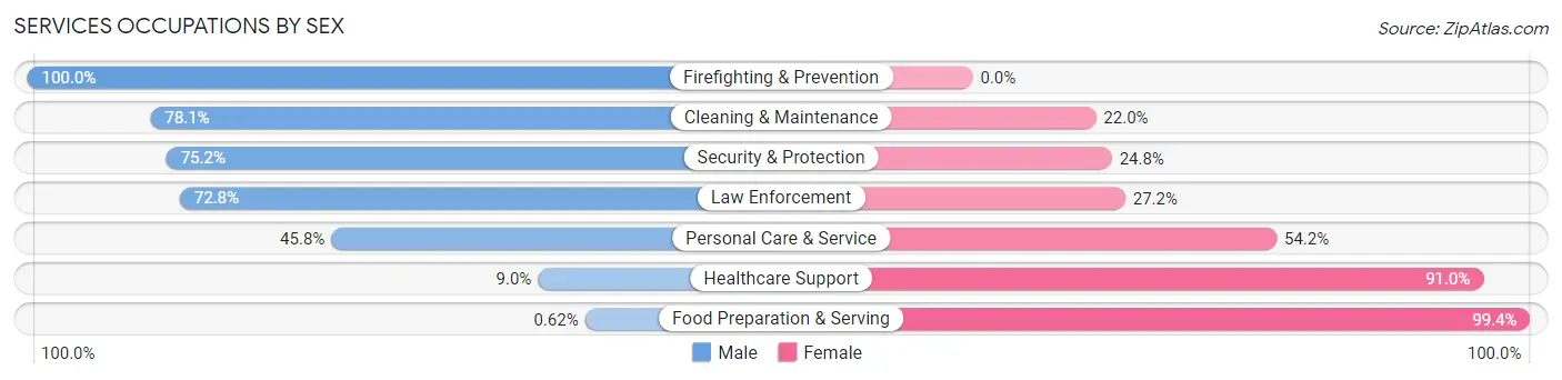 Services Occupations by Sex in Mathis