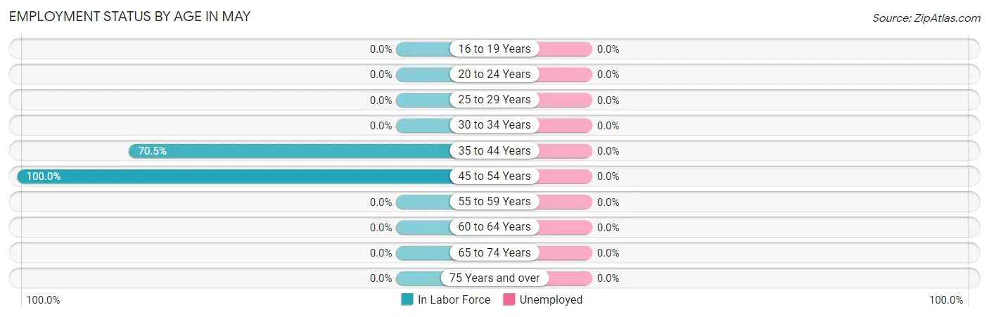 Employment Status by Age in May