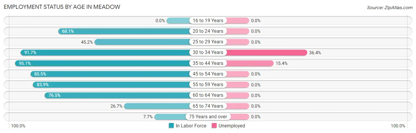 Employment Status by Age in Meadow