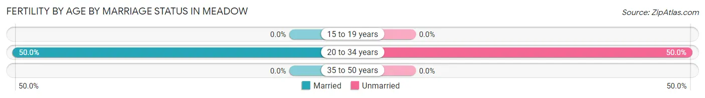 Female Fertility by Age by Marriage Status in Meadow