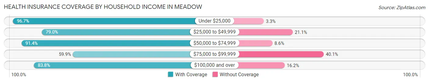 Health Insurance Coverage by Household Income in Meadow