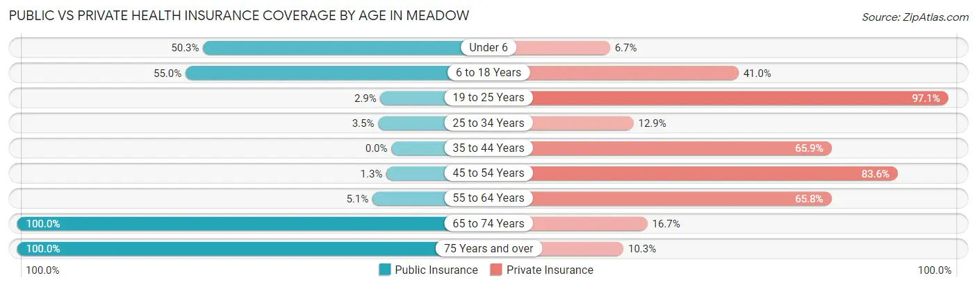 Public vs Private Health Insurance Coverage by Age in Meadow