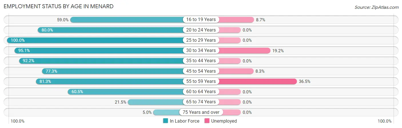 Employment Status by Age in Menard