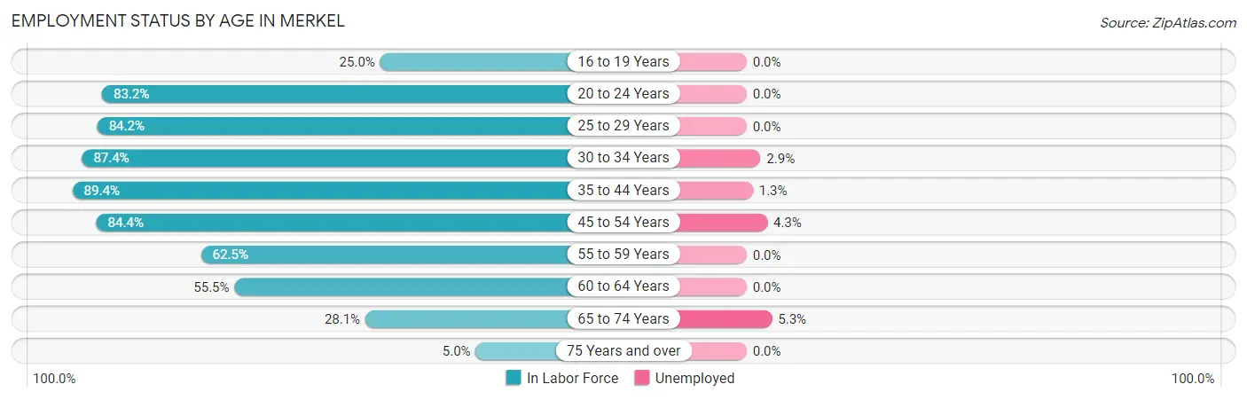 Employment Status by Age in Merkel