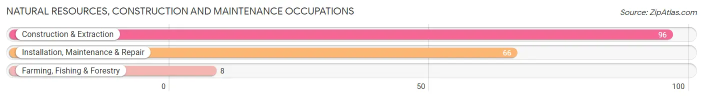 Natural Resources, Construction and Maintenance Occupations in Merkel