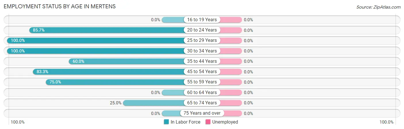 Employment Status by Age in Mertens