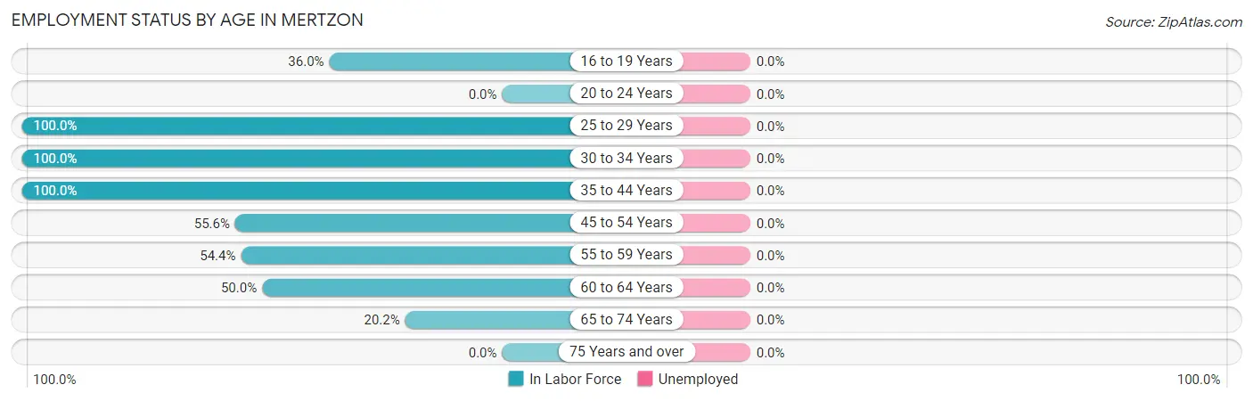 Employment Status by Age in Mertzon