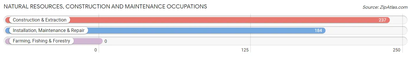 Natural Resources, Construction and Maintenance Occupations in Mexia