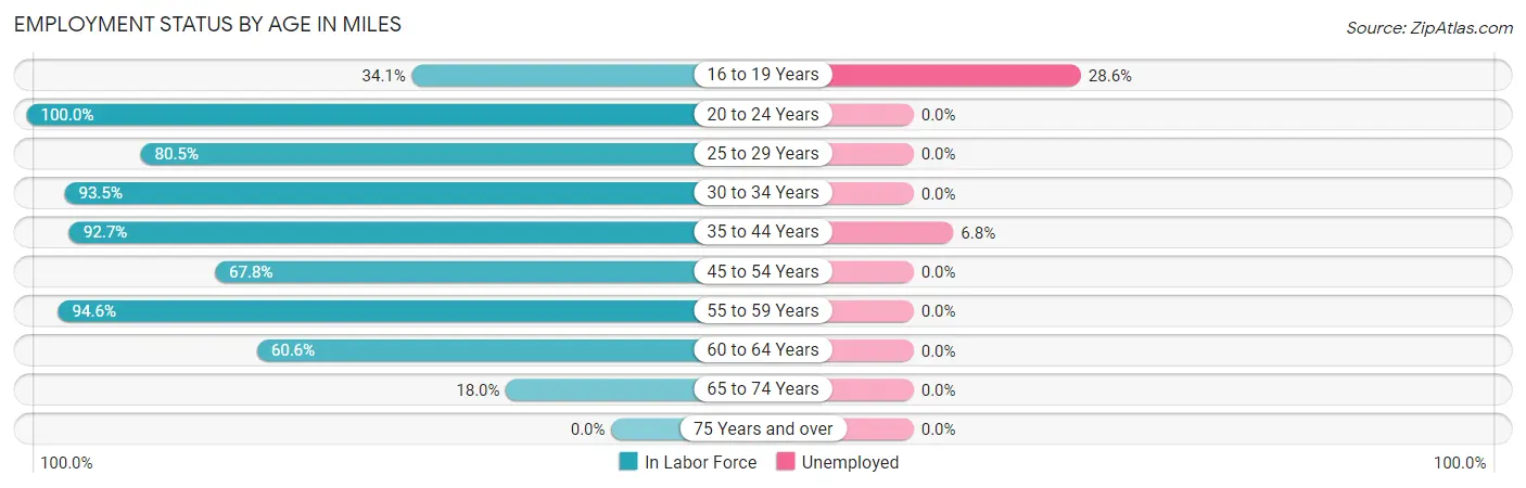 Employment Status by Age in Miles