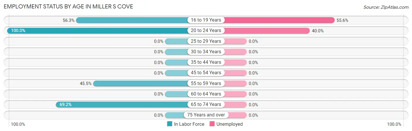 Employment Status by Age in Miller s Cove