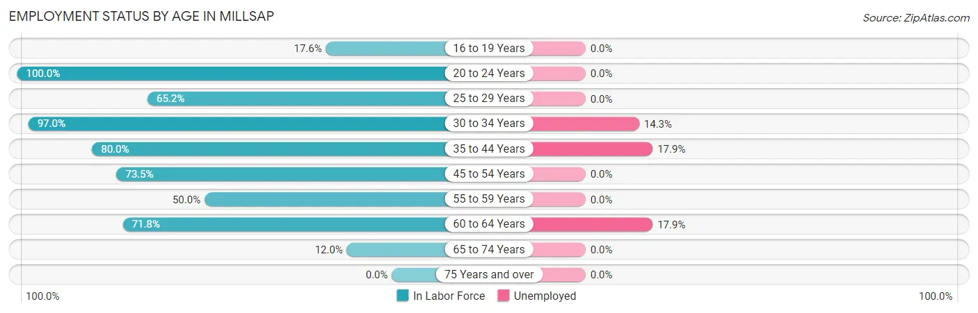 Employment Status by Age in Millsap