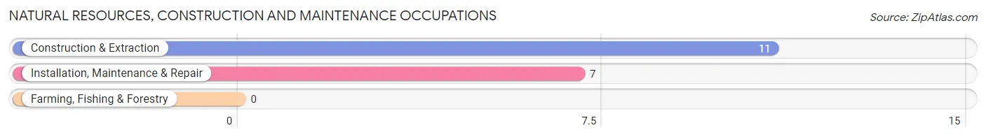 Natural Resources, Construction and Maintenance Occupations in Millsap