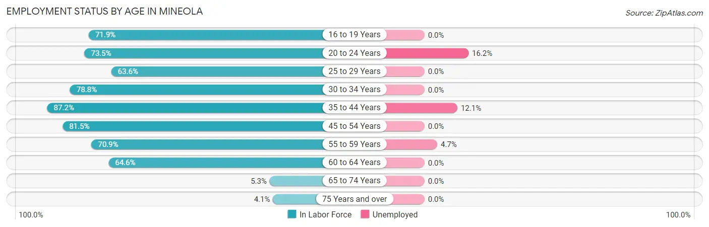 Employment Status by Age in Mineola