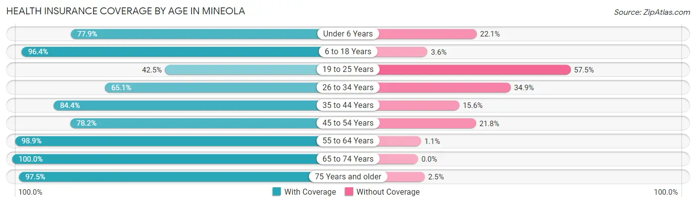 Health Insurance Coverage by Age in Mineola