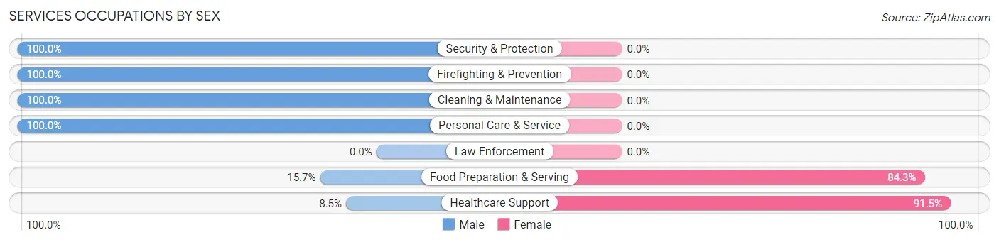 Services Occupations by Sex in Mineola