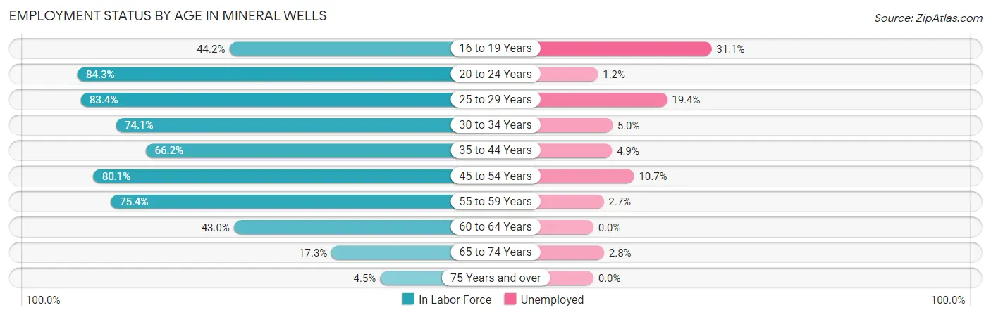 Employment Status by Age in Mineral Wells