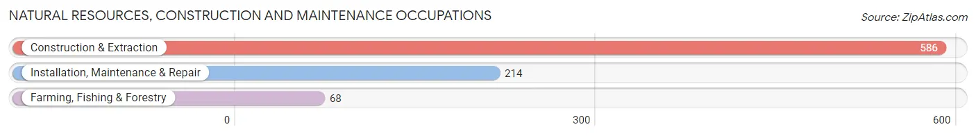 Natural Resources, Construction and Maintenance Occupations in Mineral Wells