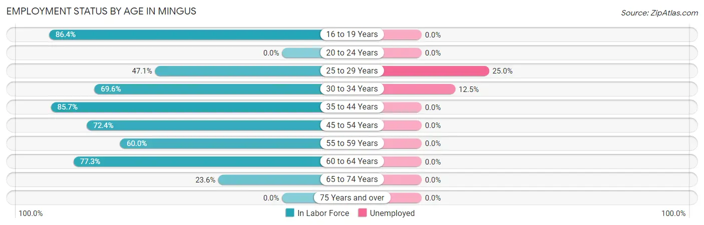 Employment Status by Age in Mingus