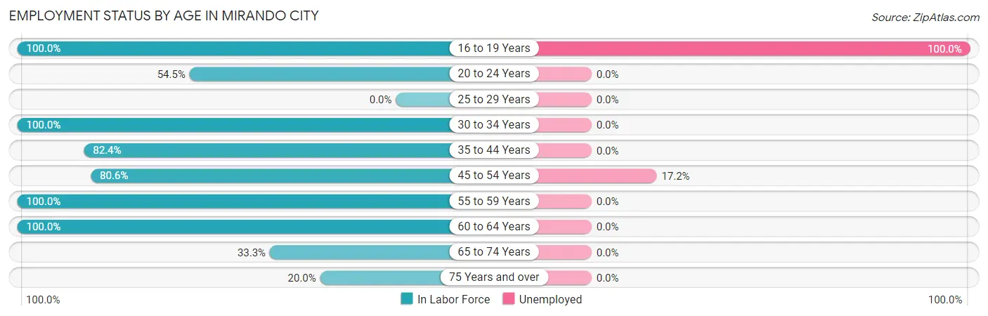 Employment Status by Age in Mirando City