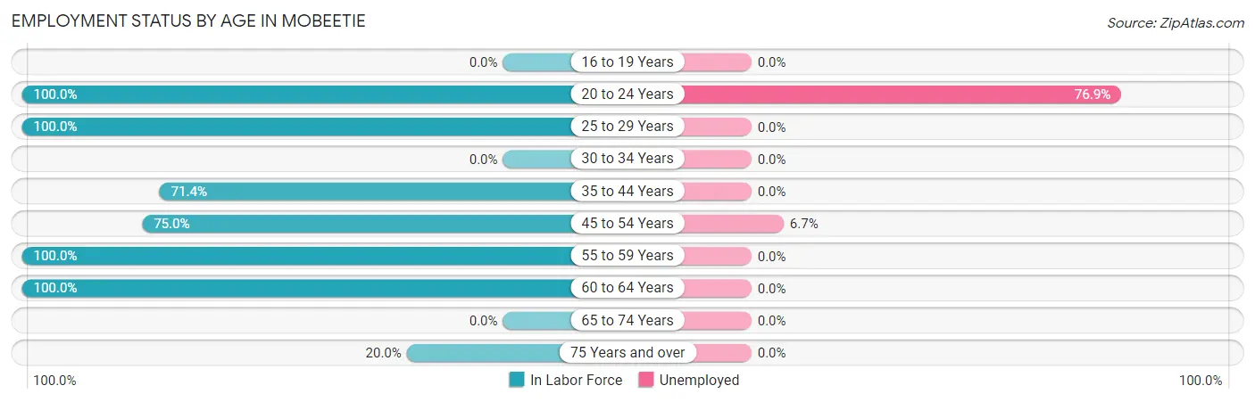 Employment Status by Age in Mobeetie