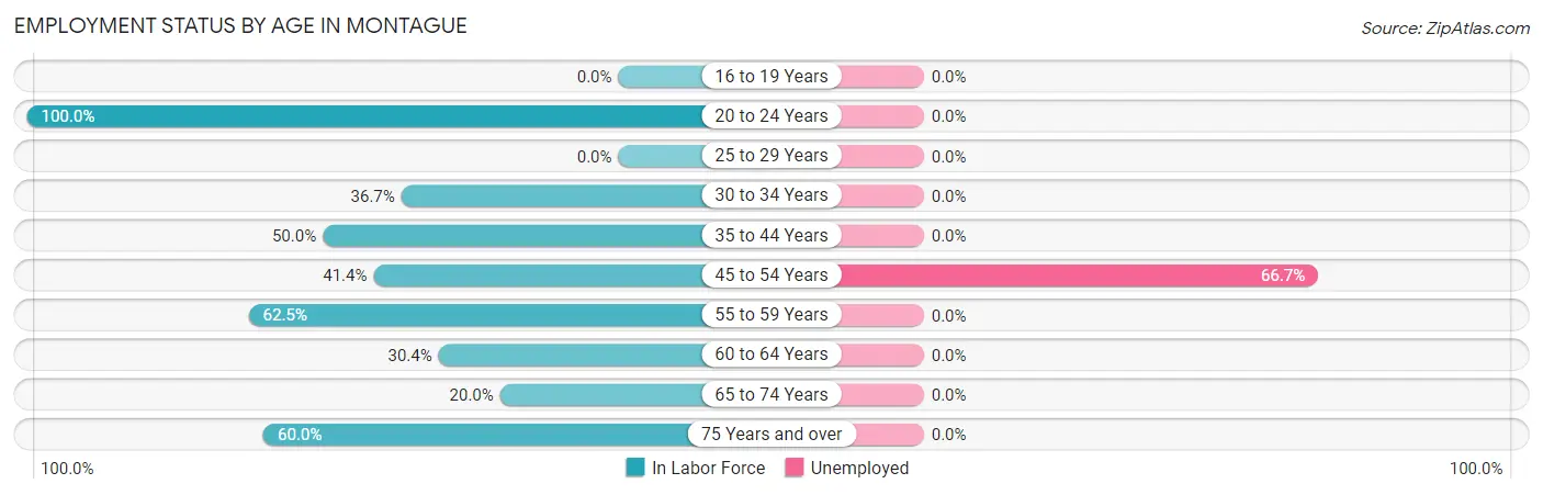 Employment Status by Age in Montague
