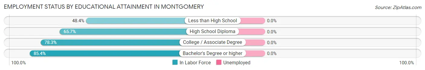 Employment Status by Educational Attainment in Montgomery