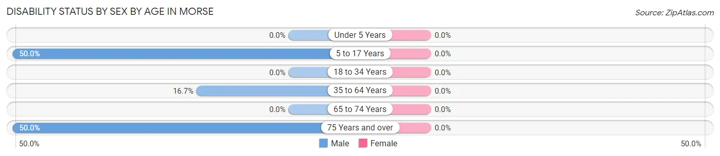 Disability Status by Sex by Age in Morse