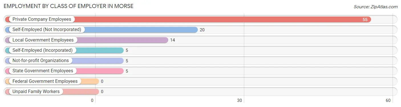 Employment by Class of Employer in Morse