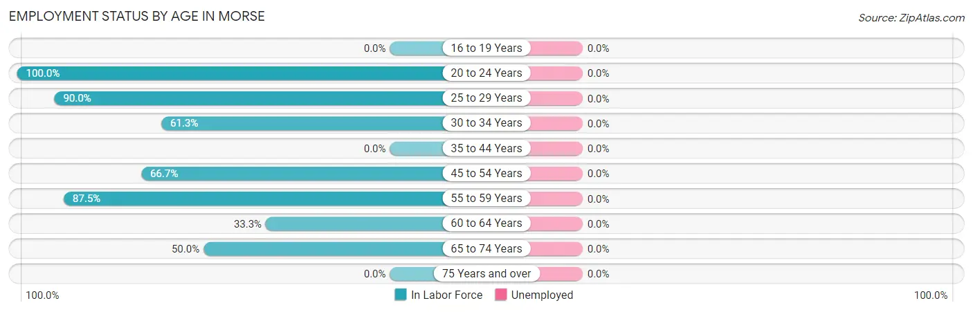 Employment Status by Age in Morse