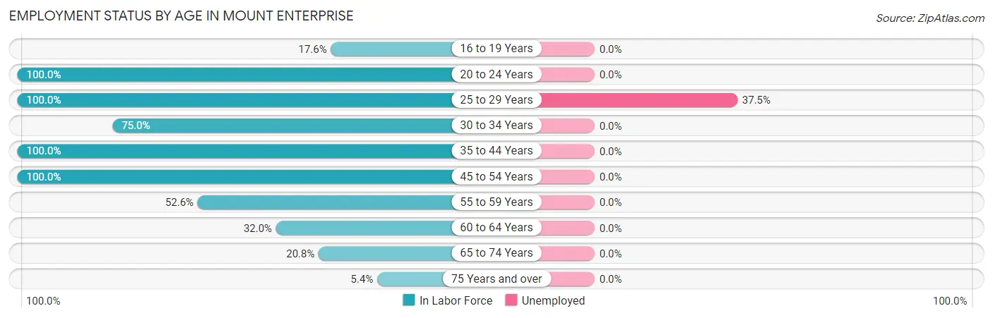 Employment Status by Age in Mount Enterprise