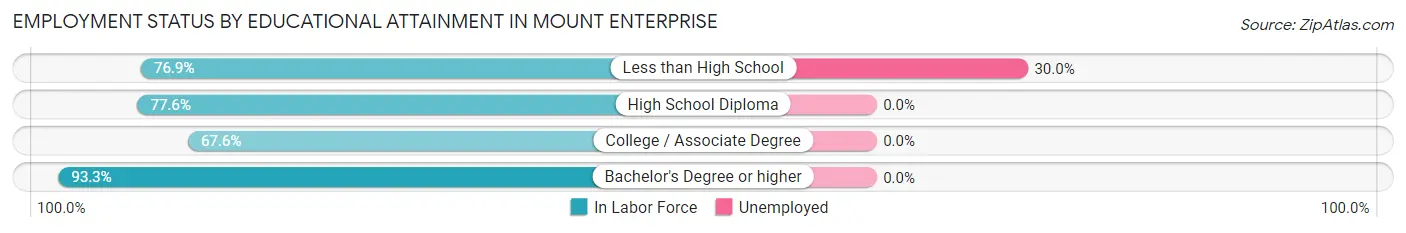 Employment Status by Educational Attainment in Mount Enterprise