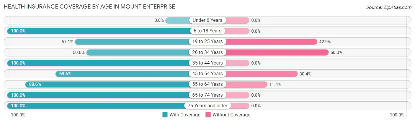 Health Insurance Coverage by Age in Mount Enterprise