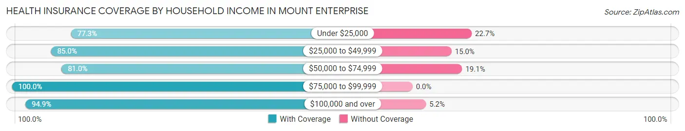 Health Insurance Coverage by Household Income in Mount Enterprise