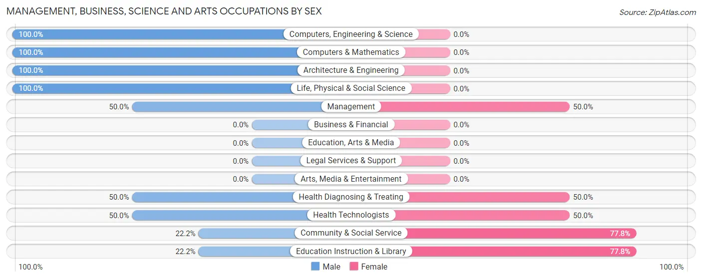 Management, Business, Science and Arts Occupations by Sex in Mount Enterprise