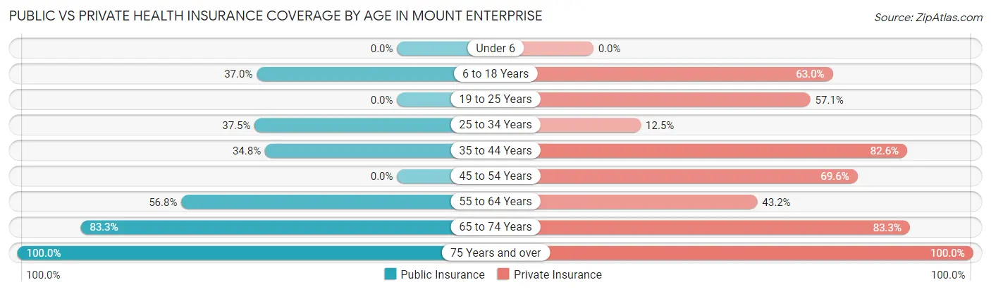 Public vs Private Health Insurance Coverage by Age in Mount Enterprise