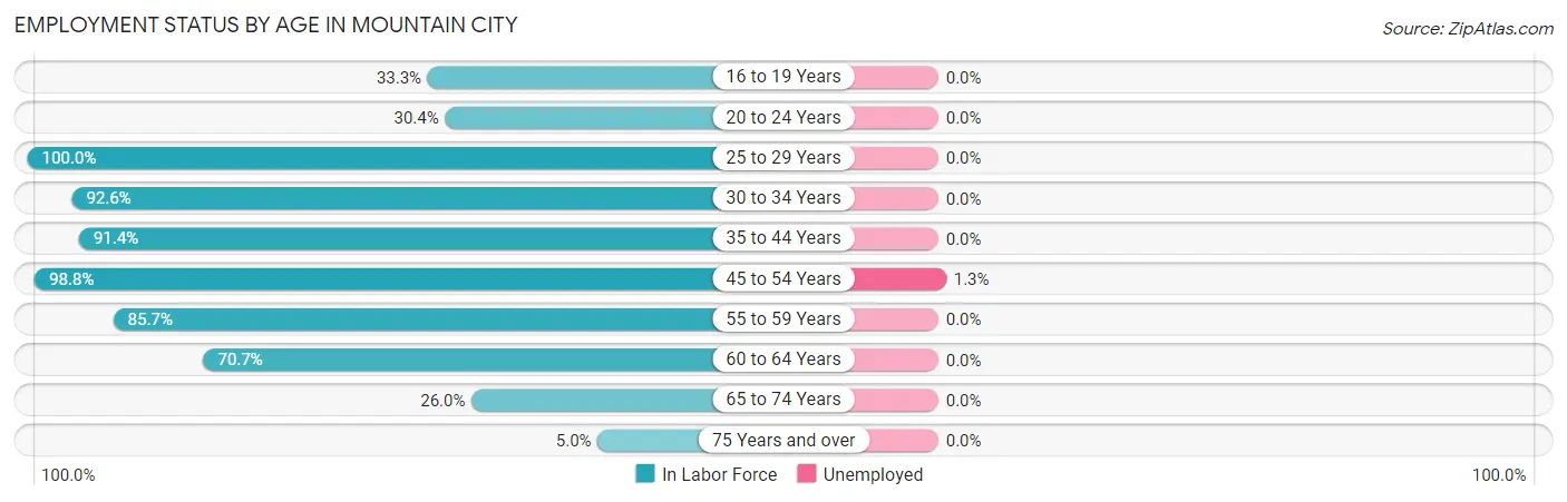 Employment Status by Age in Mountain City