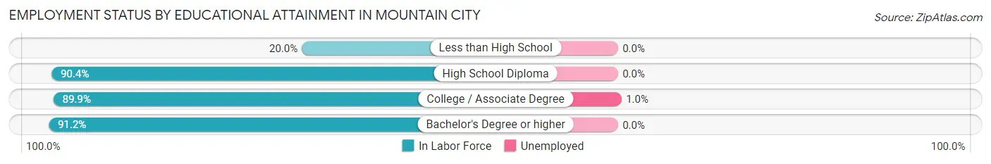 Employment Status by Educational Attainment in Mountain City