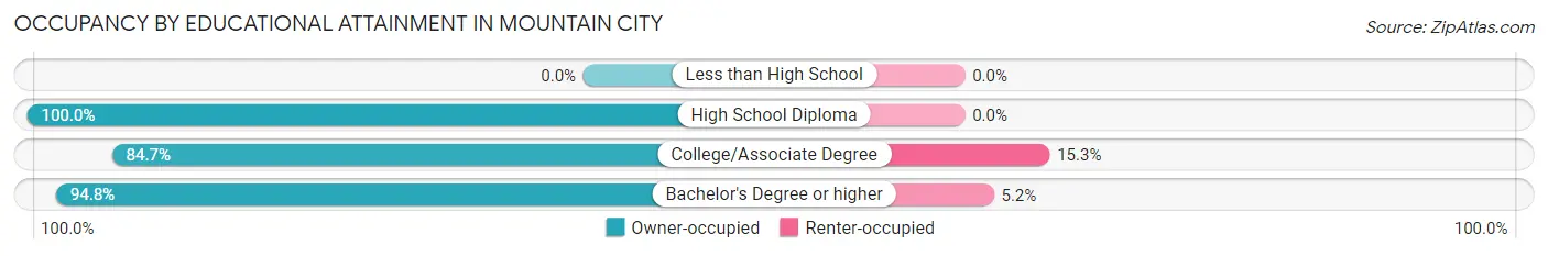 Occupancy by Educational Attainment in Mountain City