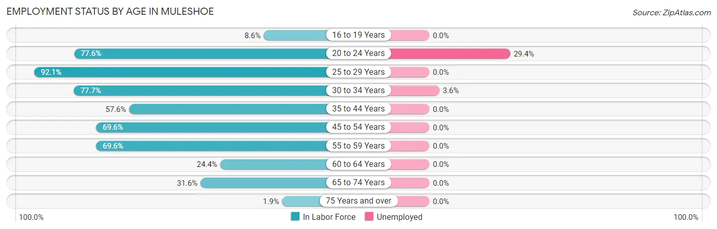 Employment Status by Age in Muleshoe