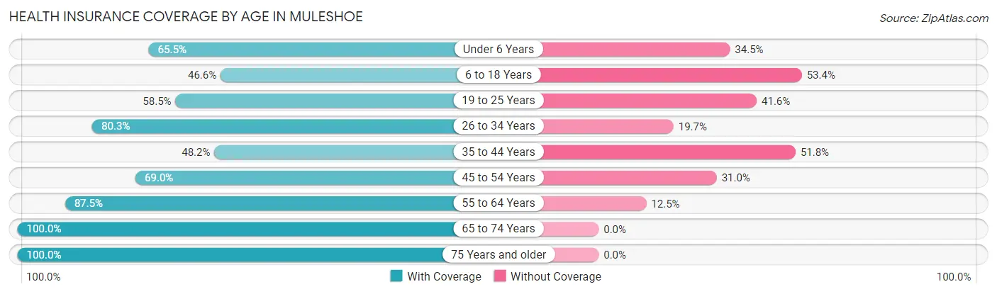 Health Insurance Coverage by Age in Muleshoe