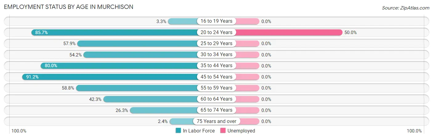 Employment Status by Age in Murchison