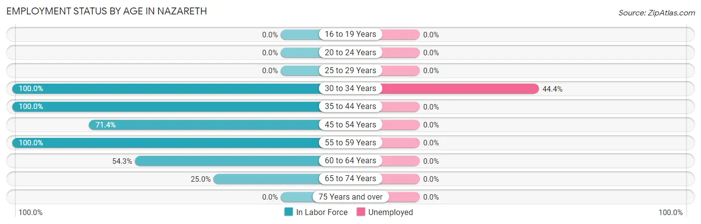 Employment Status by Age in Nazareth