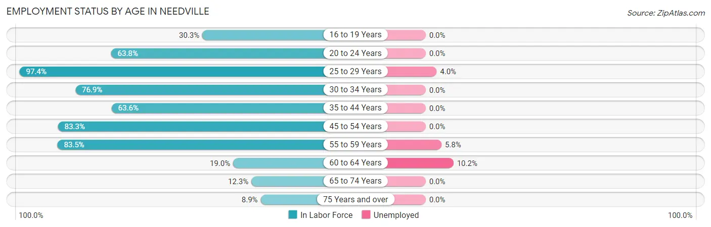 Employment Status by Age in Needville