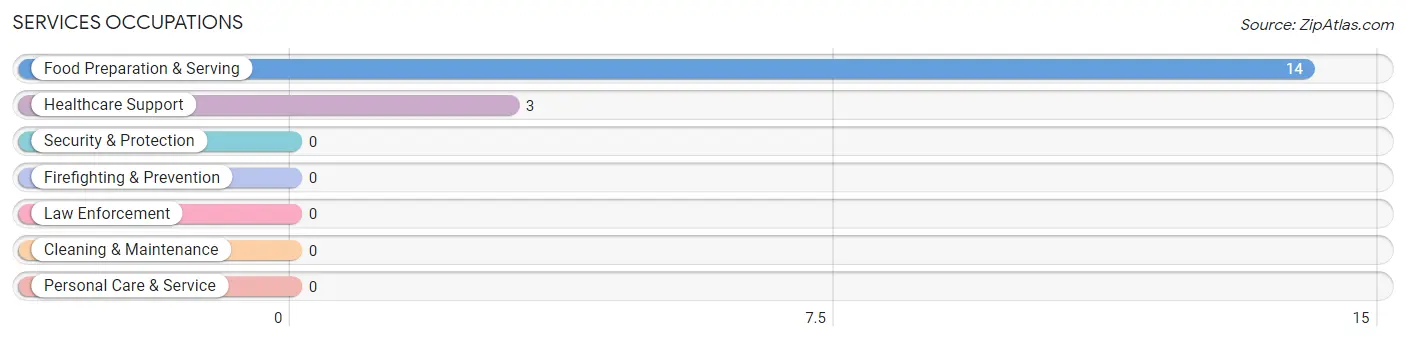 Services Occupations in New Chapel Hill